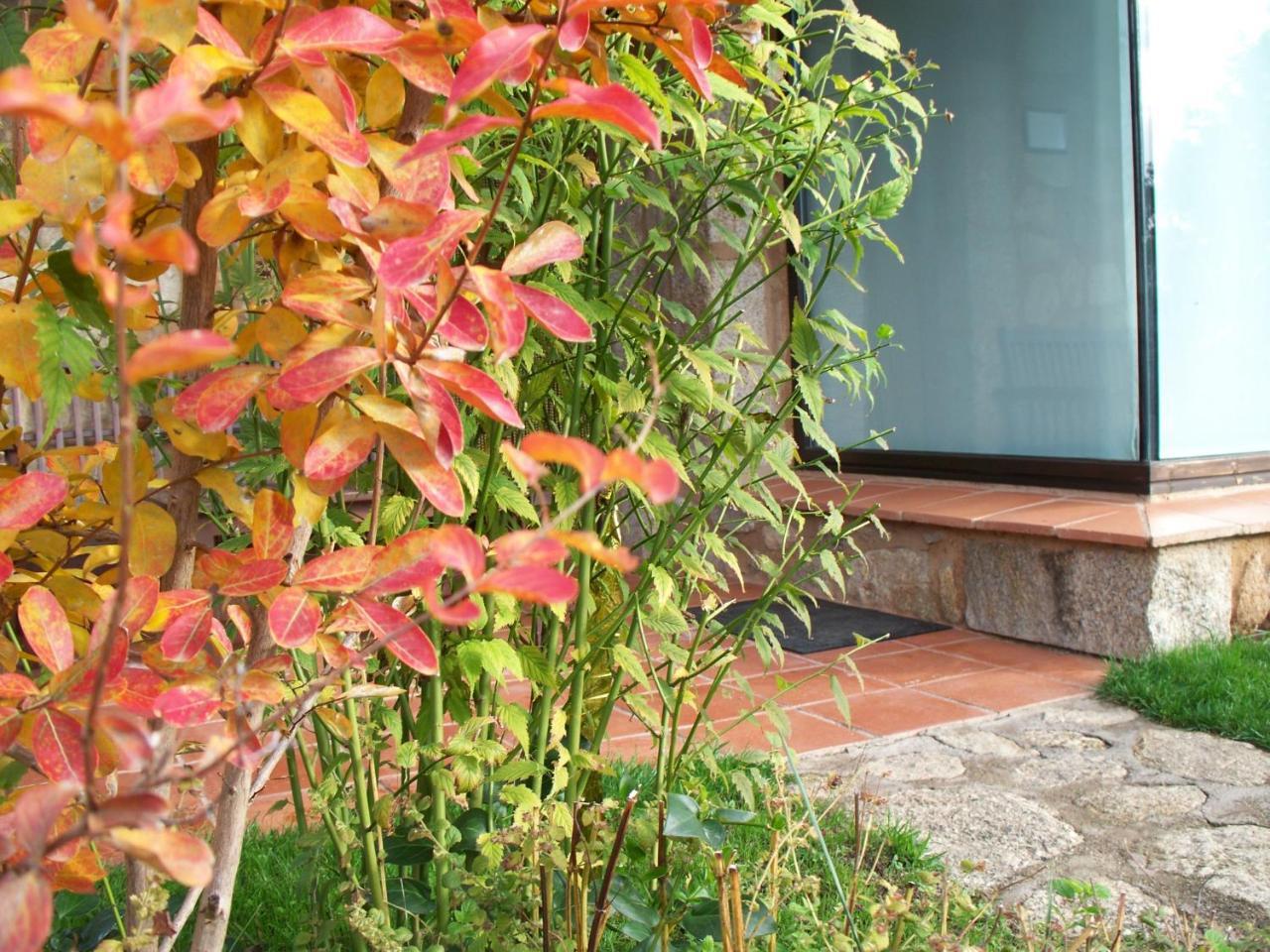 Apartamentos El Roble Valverde de la Vera Luaran gambar