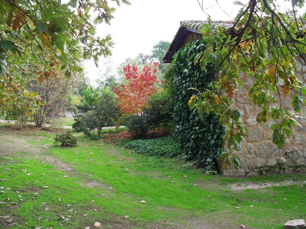 Apartamentos El Roble Valverde de la Vera Luaran gambar